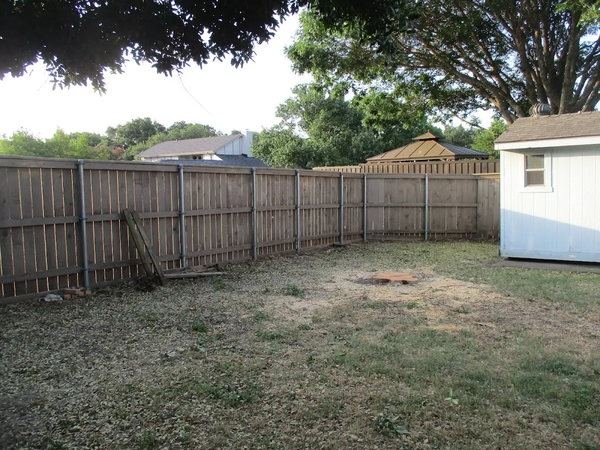 Cleared yard after professional tree removal in Amherst Junction