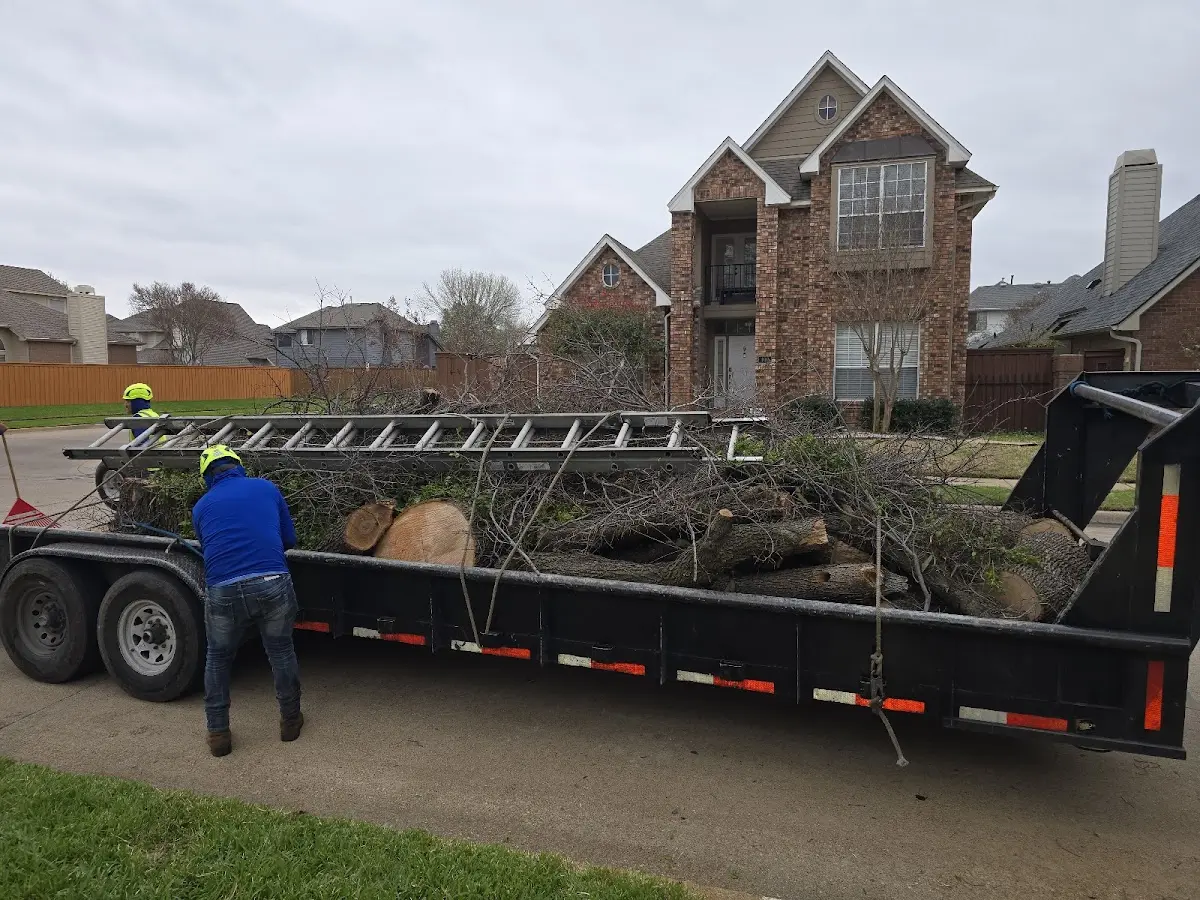Expert Tree Pest Control with proper safety equipment in Amherst Junction